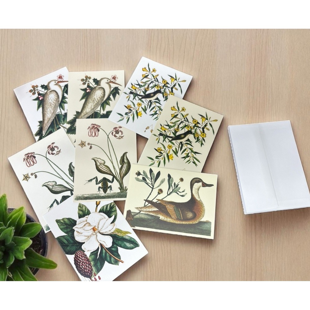 8 Colonial Williamsburg Blank Note Cards Mixed Designs, Years & Envelopes